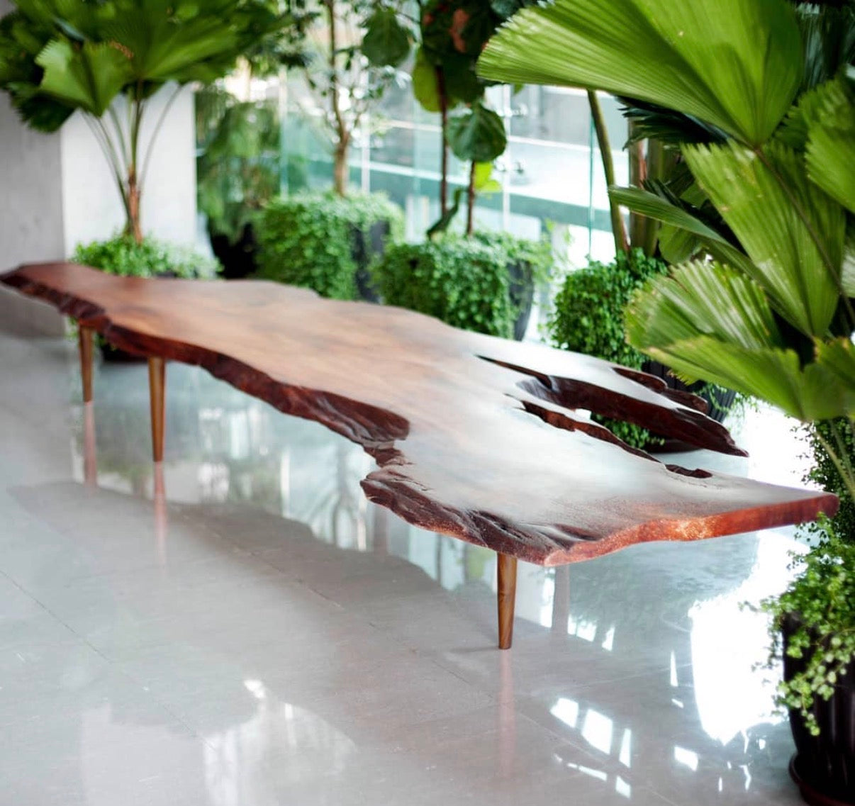 Live Edge Bench